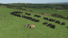 Load image into Gallery viewer, Chapman TF350 Trailed Stock Feeder  from Yorkshire All Terrain Vehicle Ltd2970Yorkshire All Terrain Vehicle Ltd