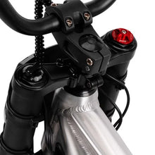 Load image into Gallery viewer, Amped A24 Comp