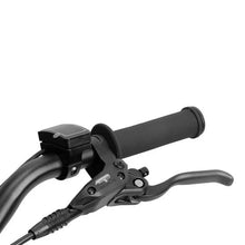 Load image into Gallery viewer, Amped A-MX 12" Black
